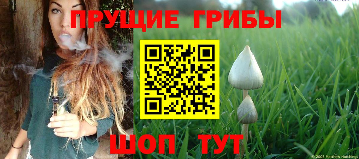 Галлюциногенные грибы мухоморы Богданович